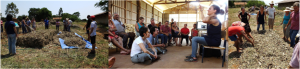 Curso de compostagem comunitária