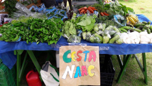 Cesta naac