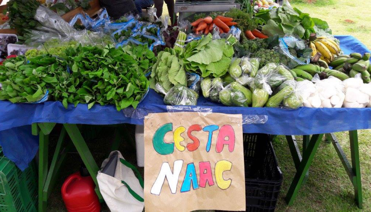 Cesta naac